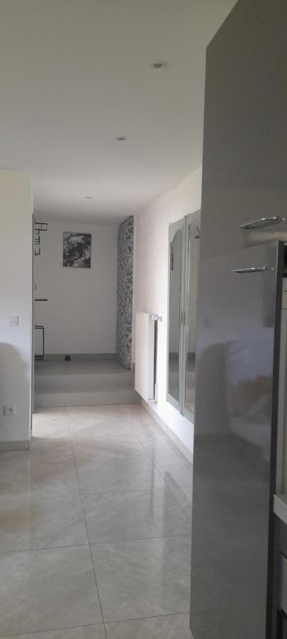 Chez Flo Apartment Mittelhausbergen Екстериор снимка